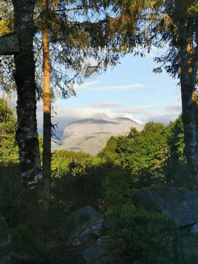 Tom Beag - Ben Nevis View Rooms Fort William Kültér fotó