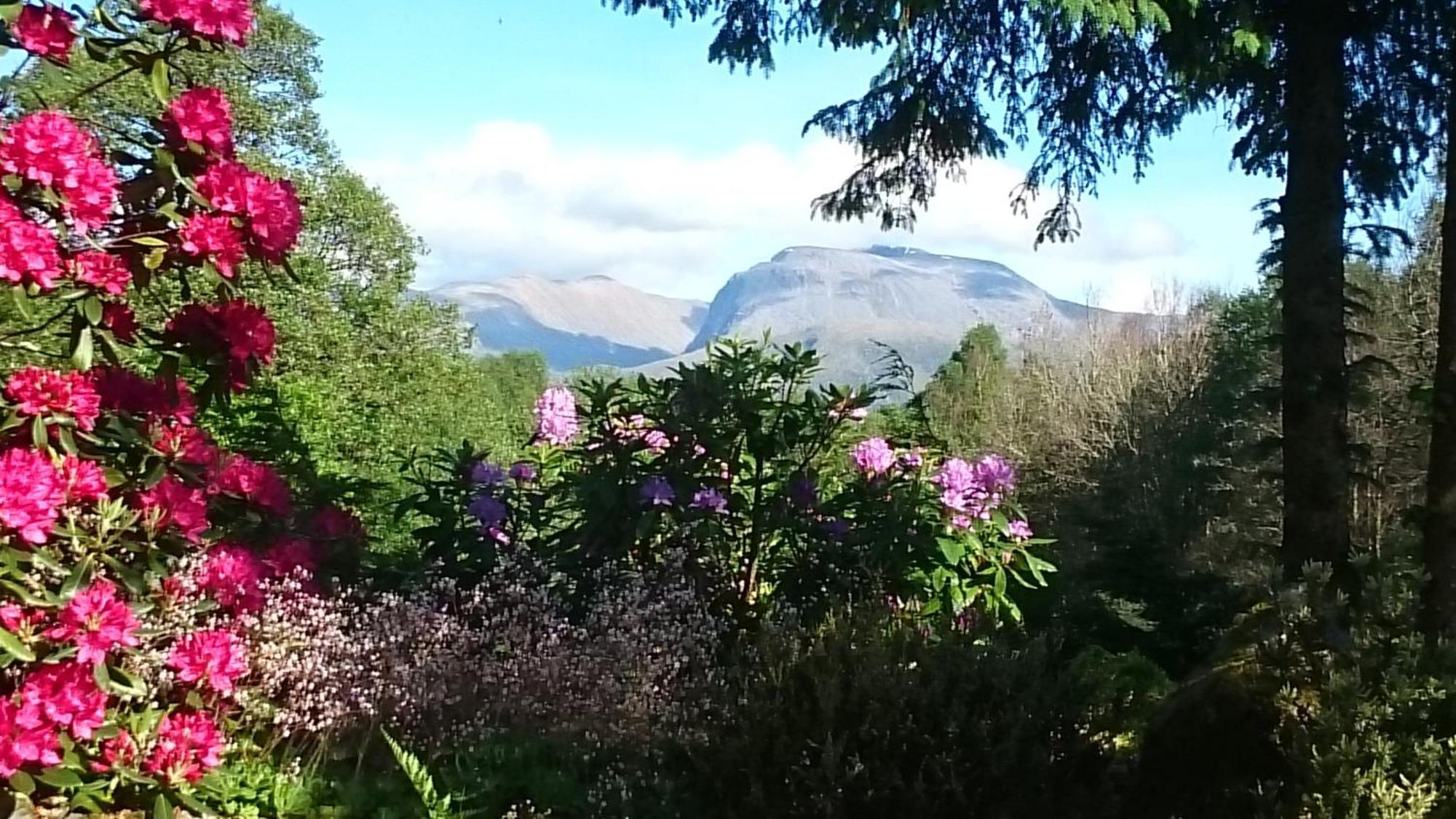 Tom Beag - Ben Nevis View Rooms Fort William Kültér fotó